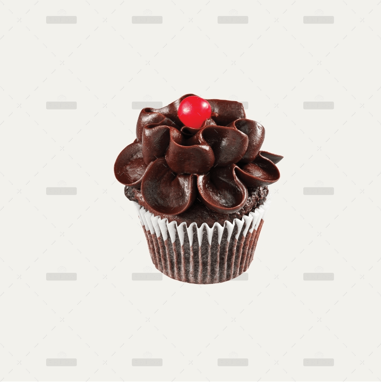 Chocolate cup cake